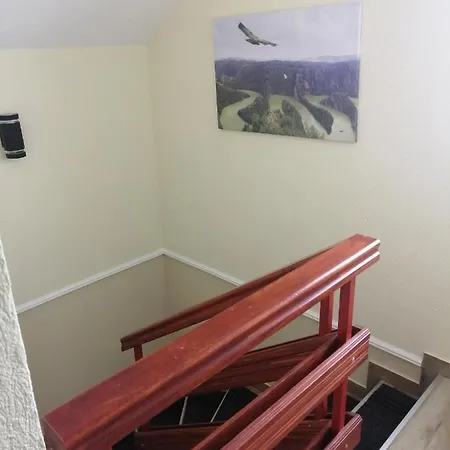 Neca Zlatar * Nova Varoš