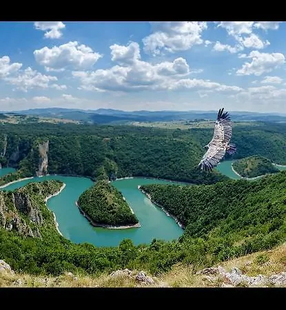 Neca Zlatar * Nova Varoš