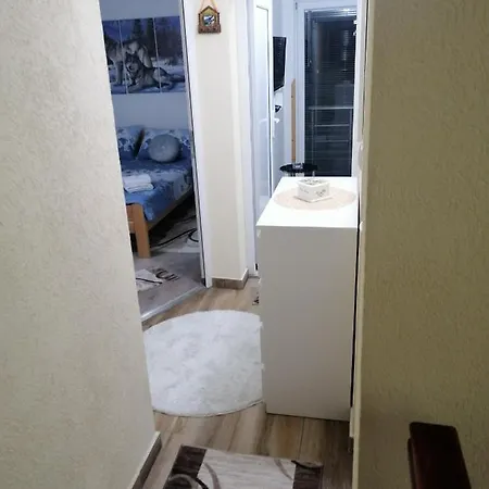 Neca Zlatar Apartment *