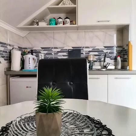 Neca Zlatar Lejlighed *