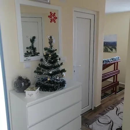 Apartment Neca Zlatar *
