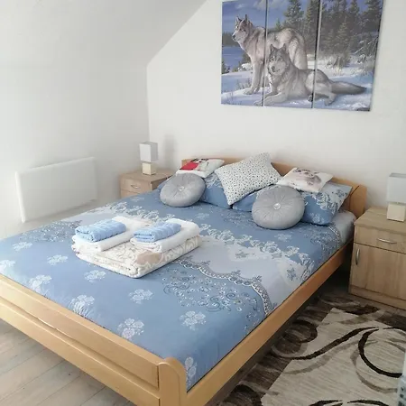 Neca Zlatar * Nova Varoš