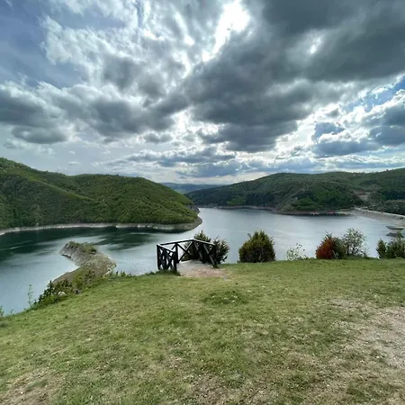 Neca Zlatar Nova Varoš