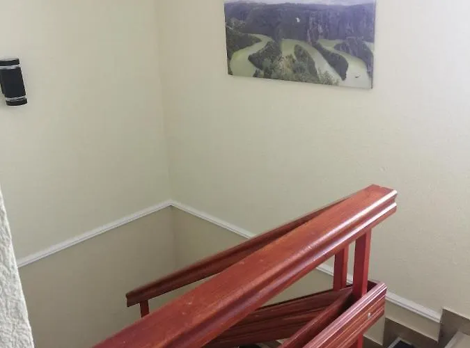 Neca Zlatar * Nova Varoš