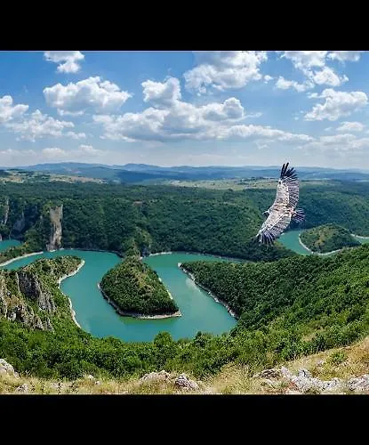 Neca Zlatar * Nova Varoš