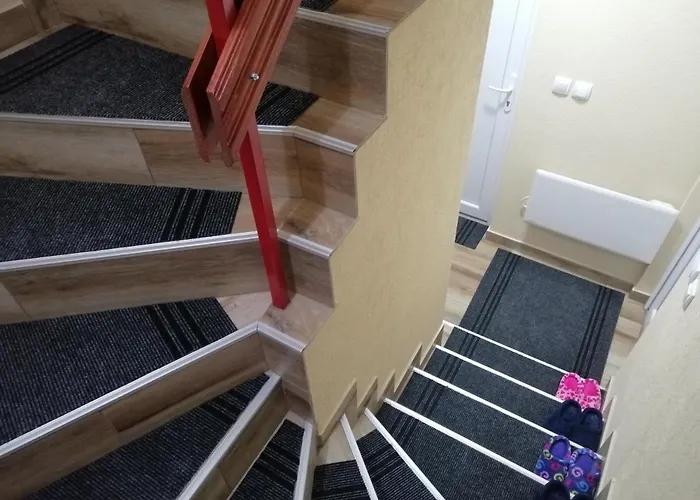 Neca Zlatar Nova Varoš