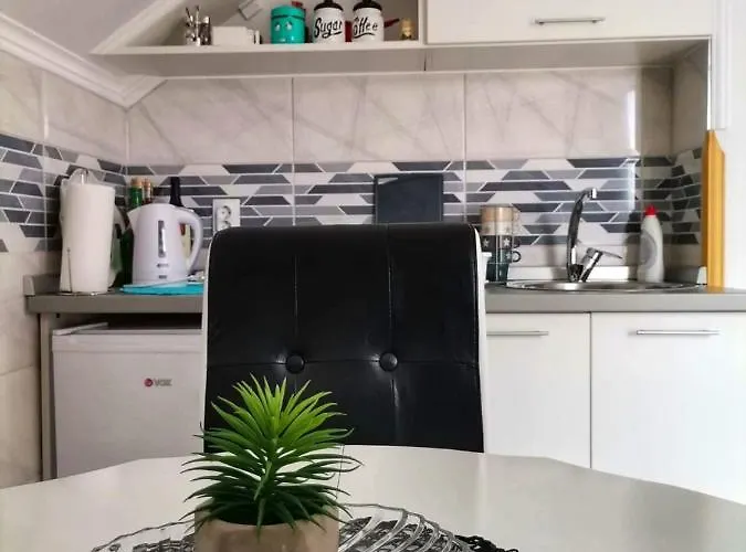 Neca Zlatar Apartament *