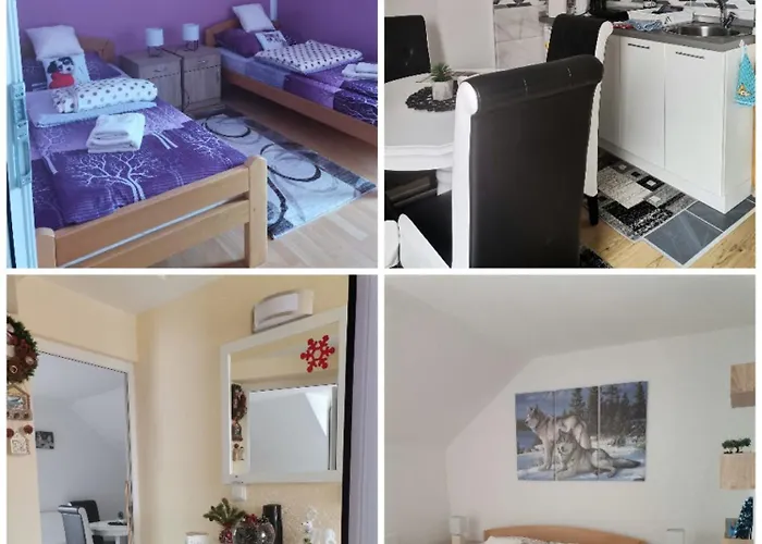 Neca Zlatar * Nova Varoš