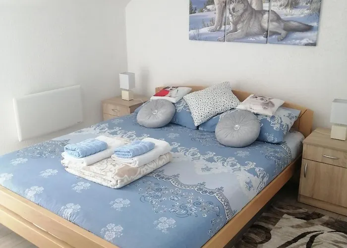 Neca Zlatar * Nova Varoš