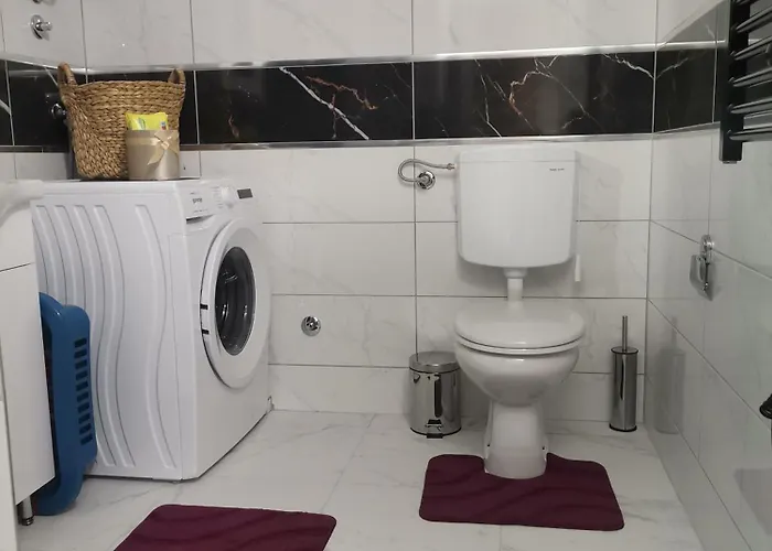 Neca Zlatar * Nova Varoš