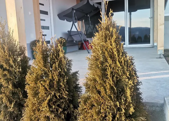 Neca Zlatar Apartament Nova Varoš